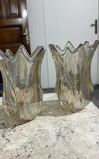 لاله ی شامپاینی