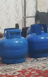 پیک نیک سالم