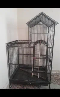 قفس بزرگ کاسکو