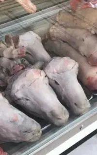 کله پاچه تمیز میکنم