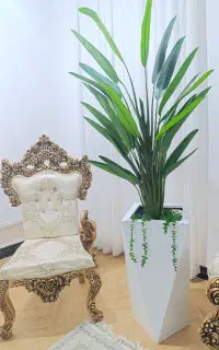 گلدون