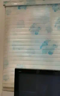 پرده زبرا