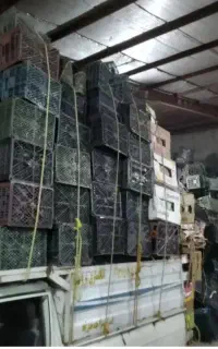 خرید سبد کارتن موزی به بالاترین قیمت
