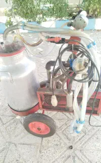 شیردوش