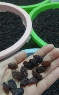 فروش مویز درجه یک گوشتی عمده وجزئی