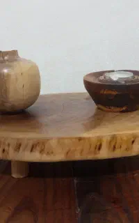 رایزر