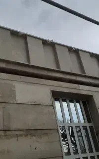 پیمانکاری ساختمان و اجرای صفر تا صد