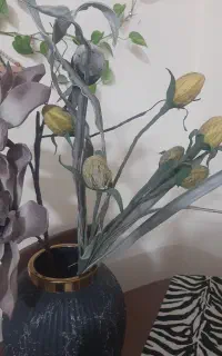گل ها وگلدون