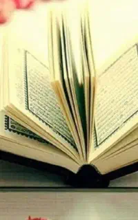 کتاب سید کریم با ۲۰ سال سابقه کاری