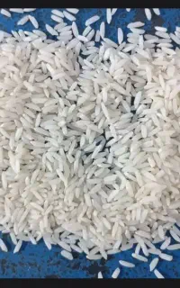 برنج سالم برنج نیمدانع بروجرده