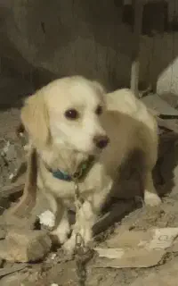 قیمت ۵۵۰۰