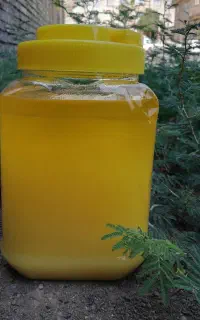 روغن زردگاوی به شرط 970/000