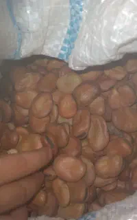 باقلا فروشی