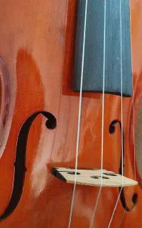 ویلون