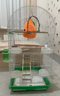 قفس پرنده