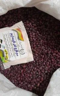 فروش بذر لوبیا