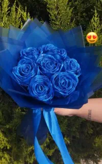 گل ربانی کرمانشاه گل روبانی