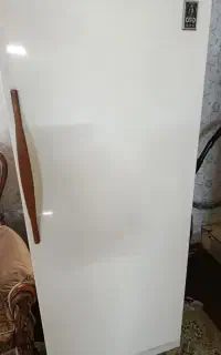 فریزر پارس