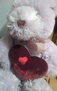 عروسک خرسی بنفش