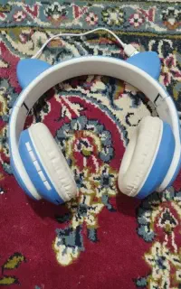 فقط کارتون نداره