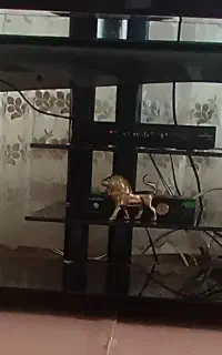 عکس باز شود