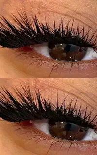 کاشت و آموزش مژه