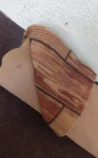 موکت
