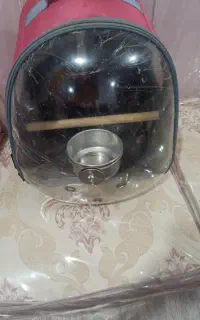 کیف حمل پرنده کاملا نو