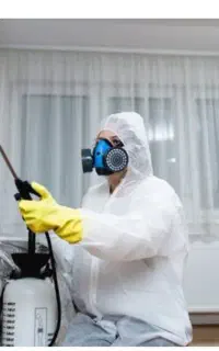 سم پاشی تخصصی منازل ساس،،