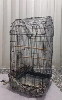 قفس بزرگ