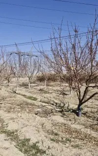 به یک کارگر اتباع با خانواده نیازمندیم