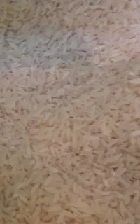 برنج هاشمی درجه یک