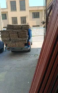 پخش ترمووال عمده و جزئی