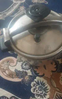 زودپزدرحدنو