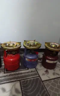پیک نیک  در همه سایز