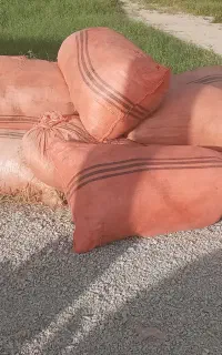 پشم گوسفند