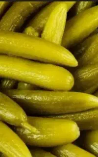 بزرگ ترین تولید کننده و تامین کننده عمده خیارشور