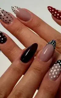 همکار ارایشگر