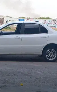 دنا معمولی ۹۶
