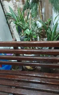 نمیکت فروش فووری