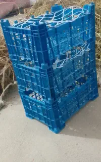 جعبه میوه سبد