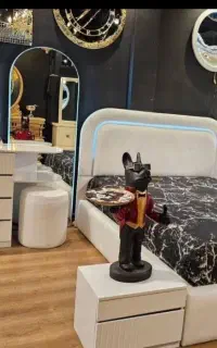 سرویس خواب نگین