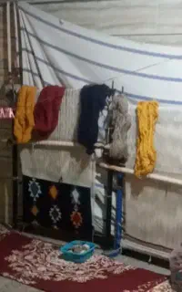دوعدد دار قالی در حد نو به فروش میرسد