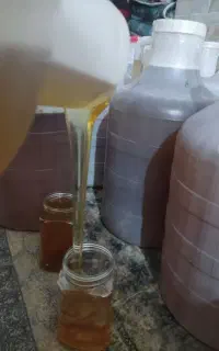 عسل کوهستانها دهبکری با ژل رویال