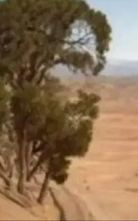 باغبانی.در روستاهای اطراف قم.وخودقم