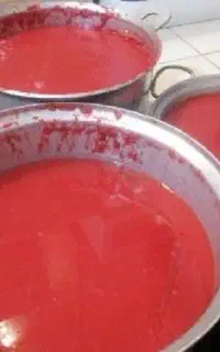 آب گوجه گیری و انگور