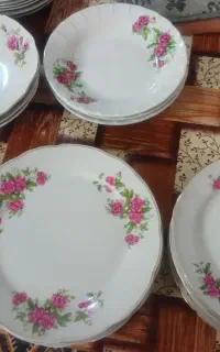 بشقاب گل قرمزی