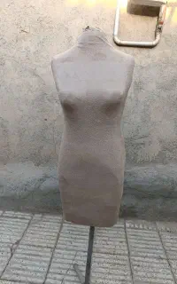 مانکن سوزن خور