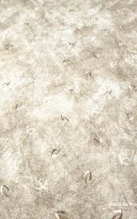 پالاز موکت