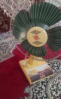 دوعدد پنکه زمینی بشرط